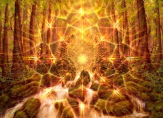 Lumières d’Octobre 2018 !